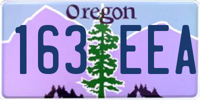 OR license plate 163EEA