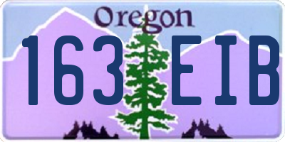 OR license plate 163EIB