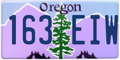 OR license plate 163EIW