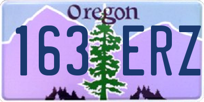 OR license plate 163ERZ