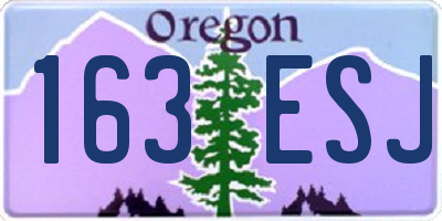 OR license plate 163ESJ