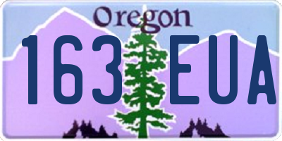 OR license plate 163EUA