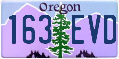 OR license plate 163EVD