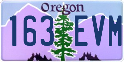OR license plate 163EVM