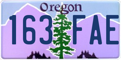 OR license plate 163FAE