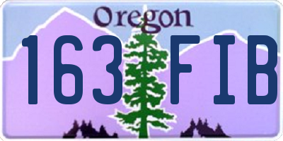 OR license plate 163FIB