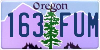 OR license plate 163FUM