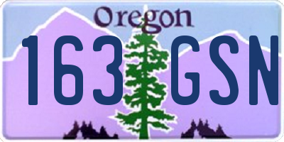 OR license plate 163GSN