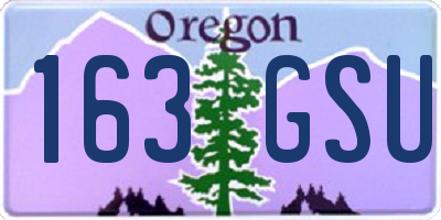 OR license plate 163GSU