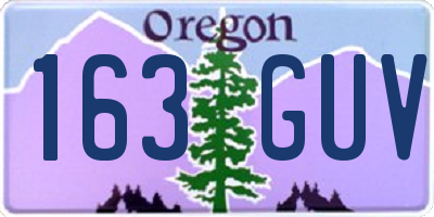OR license plate 163GUV