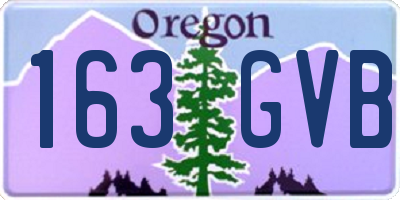 OR license plate 163GVB