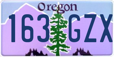 OR license plate 163GZX