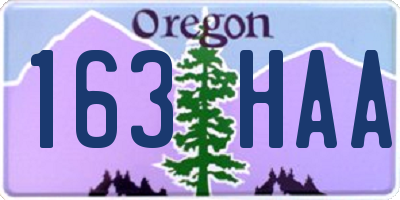 OR license plate 163HAA
