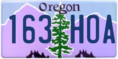 OR license plate 163HOA