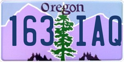 OR license plate 163IAQ
