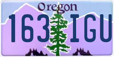 OR license plate 163IGU
