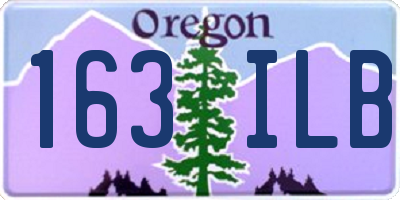 OR license plate 163ILB