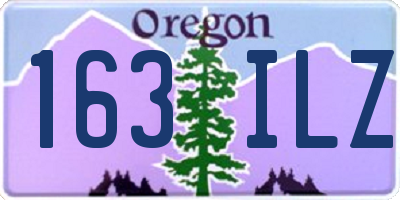 OR license plate 163ILZ