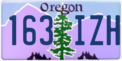 OR license plate 163IZH
