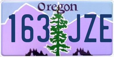 OR license plate 163JZE