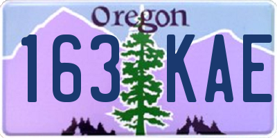 OR license plate 163KAE