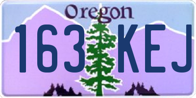 OR license plate 163KEJ