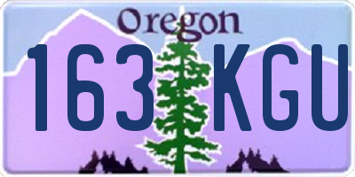 OR license plate 163KGU