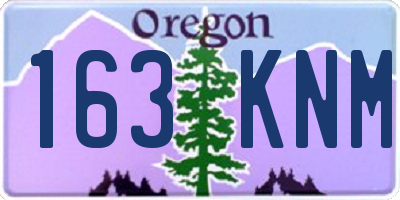 OR license plate 163KNM