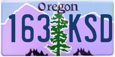 OR license plate 163KSD