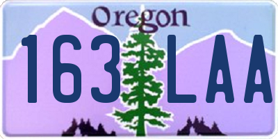 OR license plate 163LAA