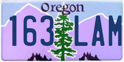 OR license plate 163LAM