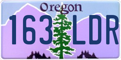 OR license plate 163LDR