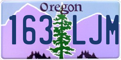 OR license plate 163LJM