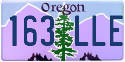 OR license plate 163LLE