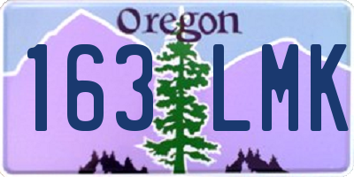 OR license plate 163LMK
