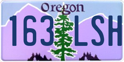 OR license plate 163LSH
