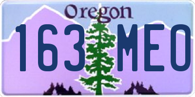 OR license plate 163MEO