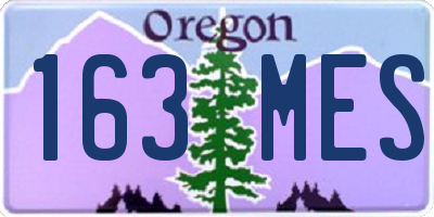 OR license plate 163MES