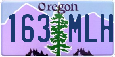 OR license plate 163MLH