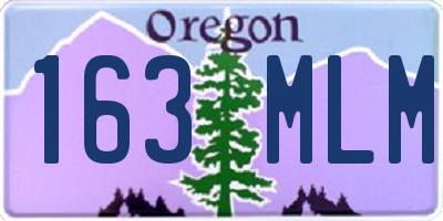 OR license plate 163MLM