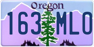 OR license plate 163MLO