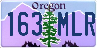 OR license plate 163MLR