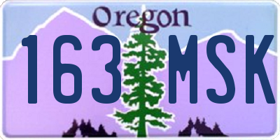 OR license plate 163MSK