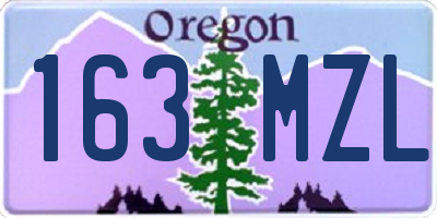 OR license plate 163MZL