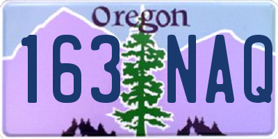 OR license plate 163NAQ