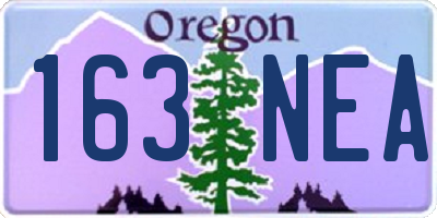 OR license plate 163NEA