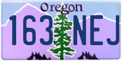 OR license plate 163NEJ