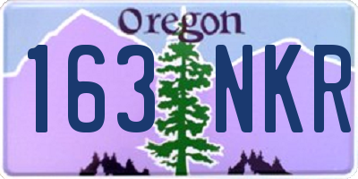 OR license plate 163NKR