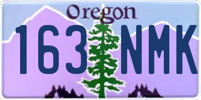 OR license plate 163NMK