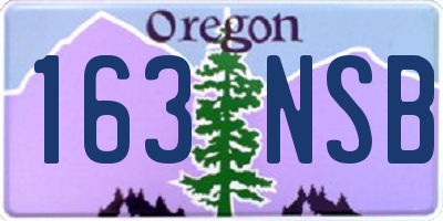 OR license plate 163NSB